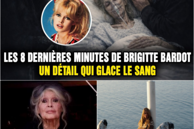 Brigitte Bardot : Les 8 dernières minutes d’une légende et le détail qui glace le sang