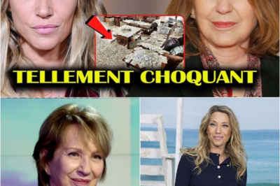 Tragédie chez les Hallyday : Le secret monstrueux que Nathalie Baye a caché à sa fille Laura Smet pendant des décennies
