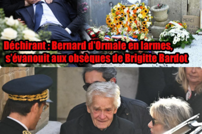 😱 L’IMAGE QUI BRISE LE CŒUR ! Bernard d’Ormale, le dernier pilier de Brigitte Bardot, s’est effondré en larmes lors des obsèques de l’icône à Saint-Tropez. 💔 Après 30 ans d’un amour fusionnel, le choc est trop brutal. Découvrez le récit bouleversant de ses derniers instants à La Madrague et ce mot secret, “Piou-Piou”, murmuré juste avant le grand départ. 🕊️ Un hommage national pour une femme qui a tout sacrifié pour les animaux. Retrouvez l’intégralité de cette cérémonie déchirante dans les commentaires ! 👇✨