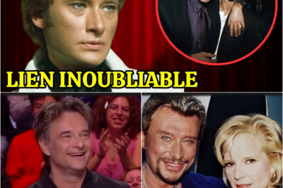 Johnny & David Hallyday : L’Héritage Lumineux d’une Complicité Père-Fils Insubmersible