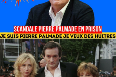 Pierre Palmade en prison : Le réveillon de Noël tourne au scandale derrière les barreaux !