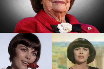 Mireille Mathieu : Le Cœur Brisé d’une Icône qui a Sacrifié l’Amour pour la Gloire et Vit Désormais avec ses Fantômes