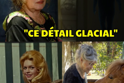 Les 8 Dernières Minutes de Brigitte Bardot : Le Récit Glaçant de sa Fin et ce Regard vers l’Invisible qui Hante ses Proches