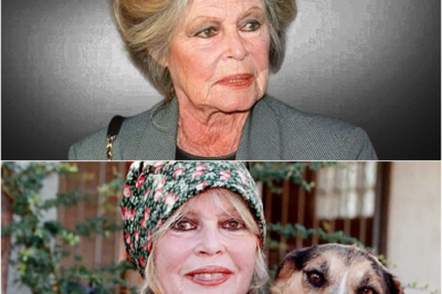 Héritage de Brigitte Bardot : La Vérité Douloureuse sur sa Fortune de 65 Millions de Dollars et les Larmes de son Fils Nicolas