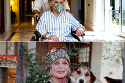 Brigitte Bardot : Son fils révèle enfin les circonstances tragiques qui ont conduit à sa mort.