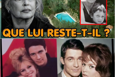 Le testament de Brigitte Bardot : La vérité bouleversante sur ce qu’elle laisse réellement à son fils unique