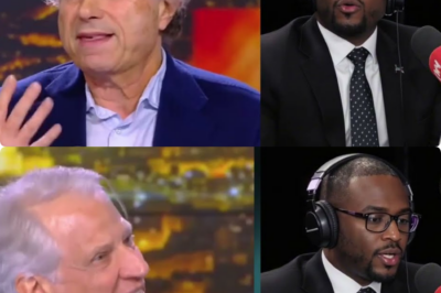 Clash titanesque en direct : Dominique de Villepin explose face aux accusations cinglantes de Gilles-William Goldnadel sur Israël et le Qatar