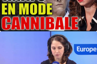 Sarah Knafo accuse Delphine Ernotte de “détournement d’argent public” : le service public est-il devenu une “série Netflix” d’extrême gauche ?