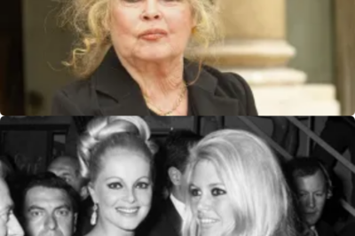 Quand Mathieu Bock-Côté abuse du sirop d’érable : sa théorie hallucinante sur la “gauche haineuse” et la beauté de Brigitte Bardot