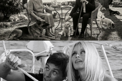 Alain Delon et Brigitte Bardot : Le récit bouleversant de leur ultime rencontre secrète – Quand les masques tombent à La Madrague