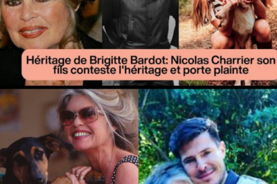 Héritage de Brigitte Bardot : La Guerre est Déclarée entre son Fils Nicolas et la Fondation pour 65 Millions d’Euros