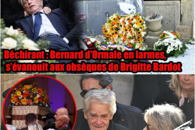 L’ultime adieu à Brigitte Bardot : L’effondrement déchirant de Bernard d’Ormale lors des obsèques à Saint-Tropez 🕊️