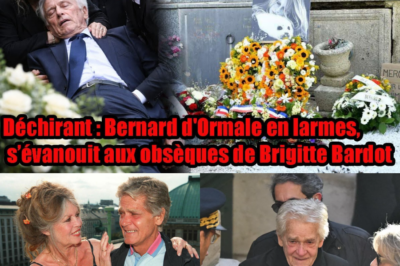L’Adieu Déchirant de Bernard d’Ormale : Les Derniers Instants de Brigitte Bardot et l’Effondrement de son Amour Ultime à Saint-Tropez