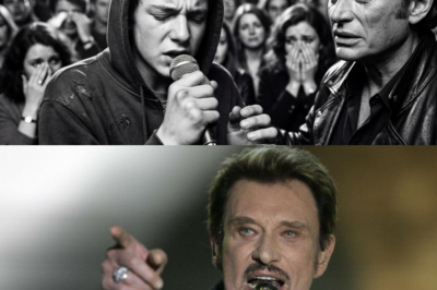 Johnny Hallyday tend son micro à un ado — la voix qui sort est IMPOSSIBLE ddđ