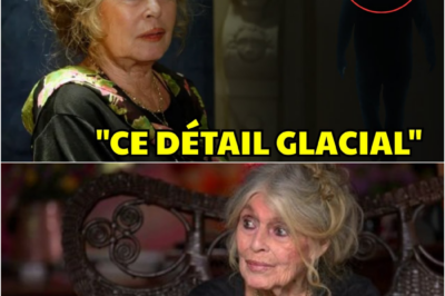 Les 8 Dernières Minutes de Brigitte Bardot : Ce Détail “Surnaturel” qui a Marqué sa Fin à La Madrague