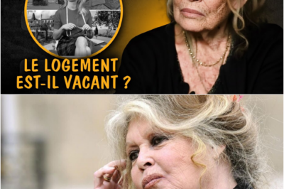 Le Testament de la Rupture : Comment Brigitte Bardot a Déshérité les Hommes pour Sanctifier sa Cause et la Madrague