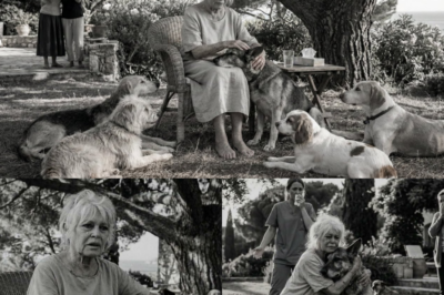 Caption 1: Le dernier jour de Brigitte Bardot a été bouleversant. À 91 ans, sentant la fin approcher, elle a refusé de rester au lit pour accomplir une ultime mission déchirante dans son jardin de La Madrague. Ce qu’elle a fait pendant 6 heures avec ses 46 chiens vous brisera le cœur. Préparez vos mouchoirs.