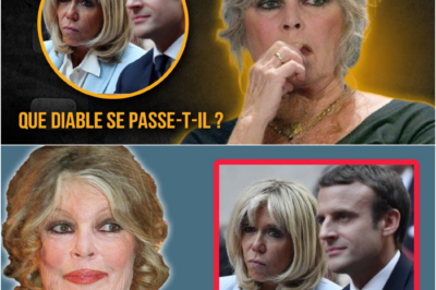 BRIGITTE BARDOT À 91 ANS : SON ATTAQUE DÉVASTATRICE CONTRE “LA LAIDEUR” DE LA FRANCE DE MACRON ET LA VÉRITÉ SUR SA SANTÉ