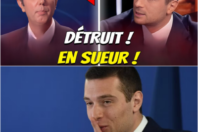 Face-à-face explosif : Jordan Bardella pulvérise les certitudes de BFM sur l’immigration et le Conseil constitutionnel