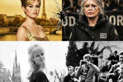 “CHOC : L’appel de minuit qui a anéanti la star pour sauver la femme…” 📞 Une nuit froide de décembre 1973, à la Madrague. Brigitte Bardot raccroche le téléphone và thế giới của bà sụp đổ… hay đúng hơn là bắt đầu lại. Pourquoi a-t-elle décidé, à 39 ans và đang ở đỉnh cao vinh quang, de tout plaquer en un instant ? Cái giá của sự nổi tiếng đã trở nên quá đắt. Découvrez le secret de cette nuit où “B.B.” est morte pour laisser place à Brigitte. 🕊️