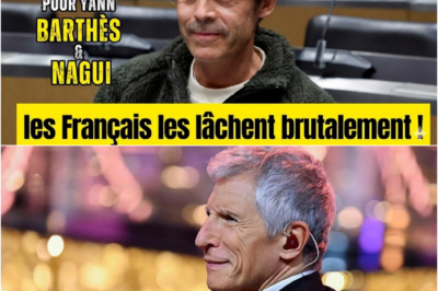 Nagui et Yann Barthès, la chute des idoles : Pourquoi les Français rejettent massivement les “donneurs de leçons” de la télévision