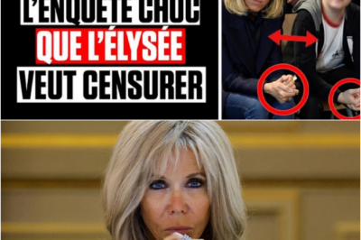 Affaire Brigitte Macron : Lionel Labosse lâche une bombe de 900 pages et dénonce “l’omerta d’État” sur le plus grand tabou de la Ve République