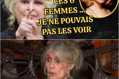 Brigitte Bardot à 91 ans : La vérité explosive sur les 6 femmes, de Sophia Loren à Brigitte Macron, qu’elle a osé foudroyer